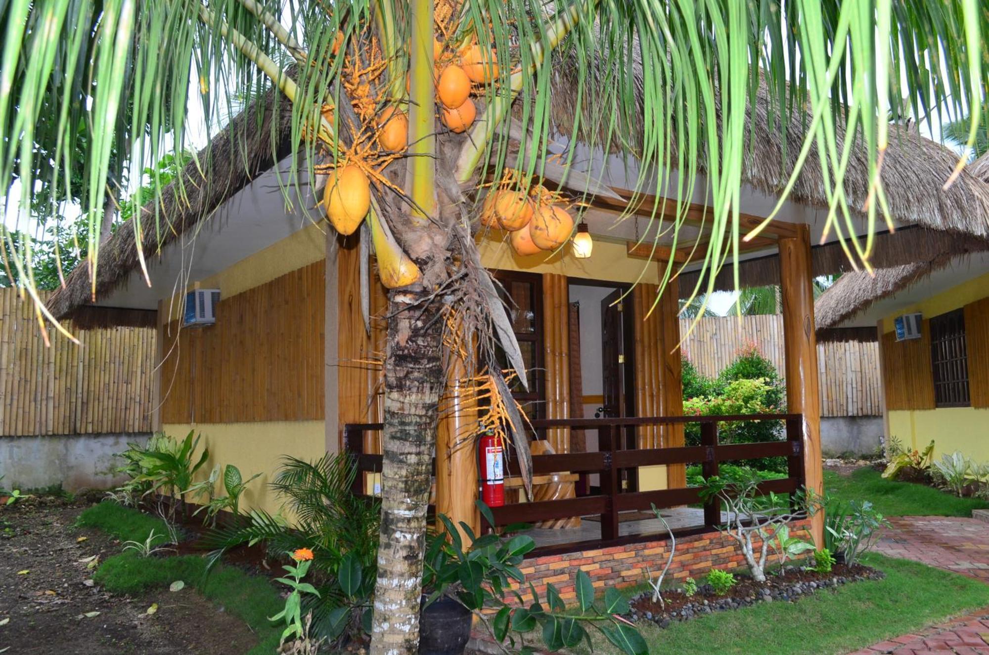 Veraneante Resort Panglao Room photo