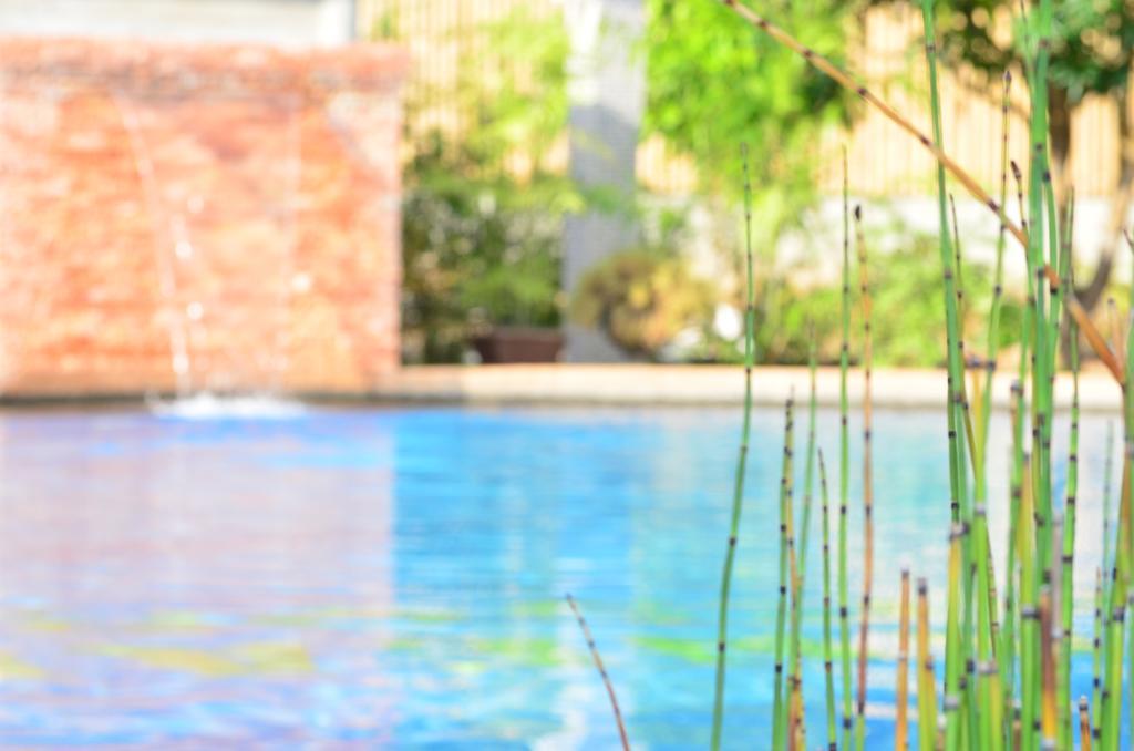 Veraneante Resort Panglao Exterior photo